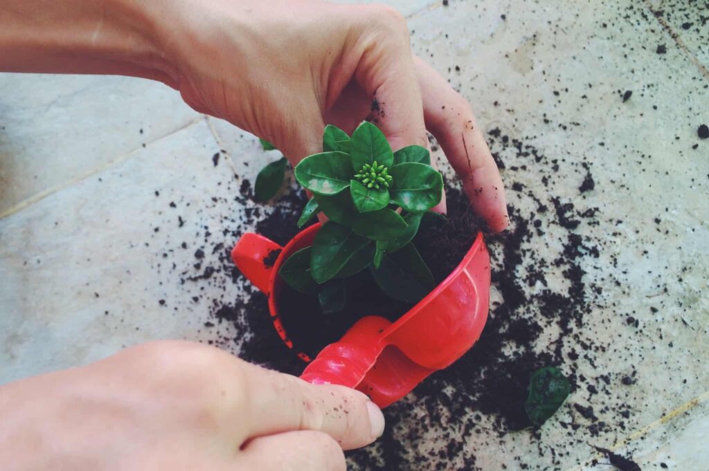 Dicas para diminuir a sua pegada ecológica