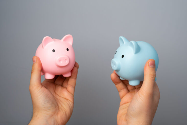 mãos a segurar dois porquinhos mealheiros, um rosa e um azul - para ilustrar artigo sobre comparador de PPR - "Comparador de PPR: Como escolher o melhor produto para mim"