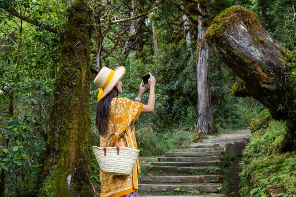 Mulher no meio da natureza a tirar fotos durante as suas férias após optar por um turismo sustentável