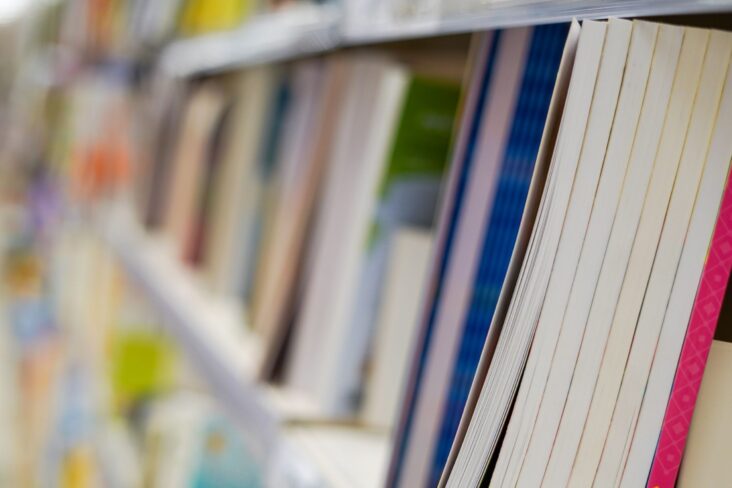 imagem de vários livros em prateleiras de uma loja para ilustrar artigo sobre os manuais escolares gratuitos