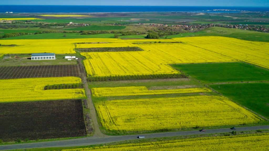 Terrenos agrícolas contínuos