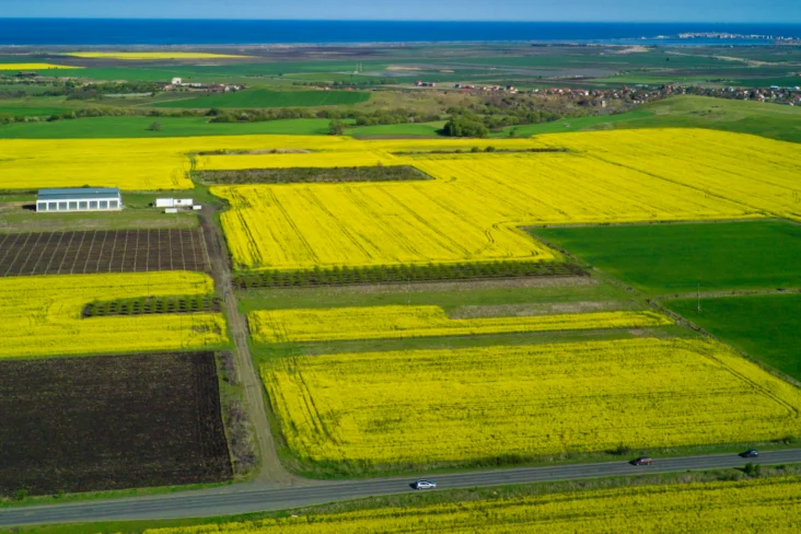 Terrenos agrícolas contínuos
