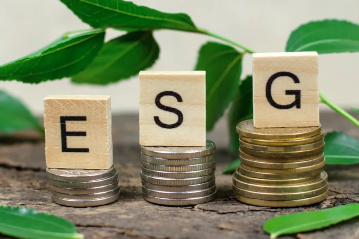 Três cubos com as letras E, S e G, em cima de moedas, representando o crescimento de investimentos